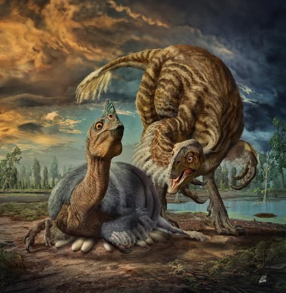 Hỏi khó: Vì sao khủng long nặng hàng tấn vẫn có thể ung dung ngồi ấp mà không sợ làm vỡ trứng phía dưới? - Ảnh 2.