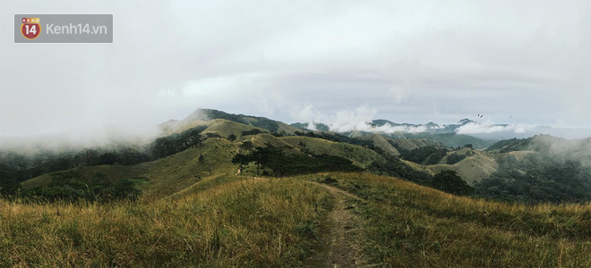 Những tai nạn đáng tiếc ở Tà Năng - Phan Dũng: Cung đường trekking đẹp nhất Việt Nam nhưng cũng đầy hiểm nguy khó lường - Ảnh 1.