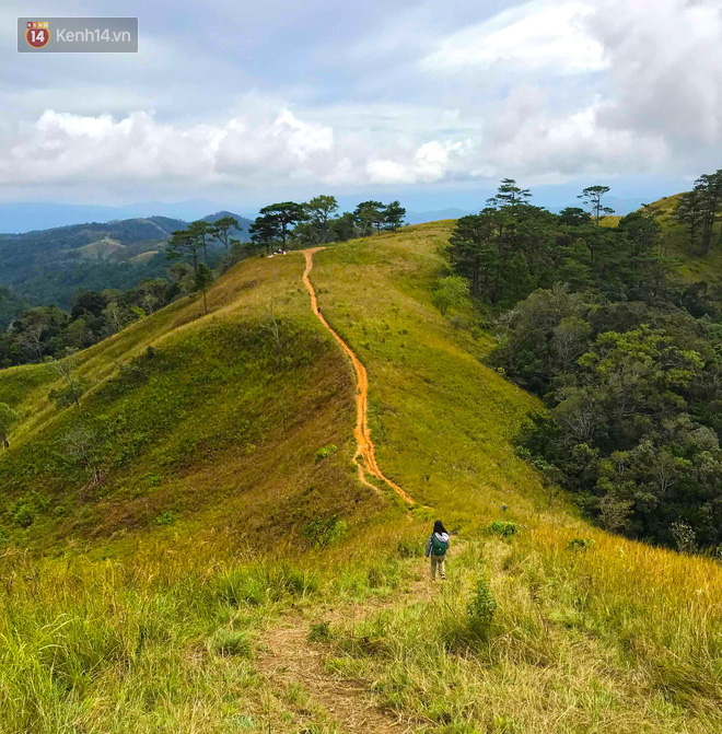 Những tai nạn đáng tiếc ở Tà Năng - Phan Dũng: Cung đường trekking đẹp nhất Việt Nam nhưng cũng đầy hiểm nguy khó lường - Ảnh 2.