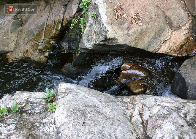 Những tai nạn đáng tiếc ở Tà Năng - Phan Dũng: Cung đường trekking đẹp nhất Việt Nam nhưng cũng đầy hiểm nguy khó lường - Ảnh 8.