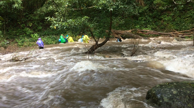 Những tai nạn đáng tiếc ở Tà Năng - Phan Dũng: Cung đường trekking đẹp nhất Việt Nam nhưng cũng đầy hiểm nguy khó lường - Ảnh 10.