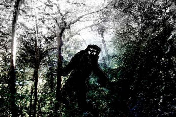 Dã nhân giống Bigfoot: Có thể giết và ăn thịt bất cứ sinh vật nào bắt gặp trên đường - Ảnh 5.