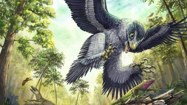 Cùng phải chịu thảm họa thiên thạch nhưng vì sao khủng long tuyệt chủng, chim thì không? - Ảnh 2.