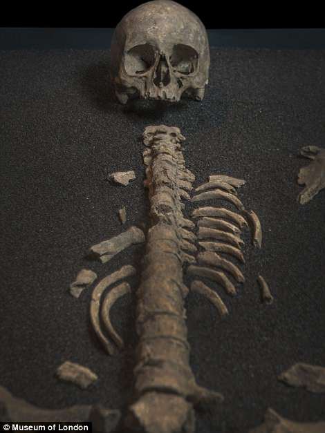 Khai quật bộ xương 1.600 tuổi của người phụ nữ La Mã giàu có - Ảnh 2.
