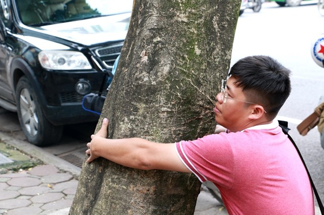 Hàng sưa bạc tỷ ở Hà Nội trước ngày di dời - Ảnh 6.