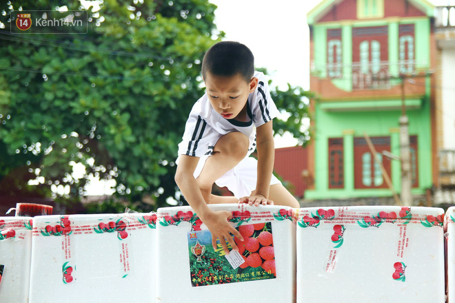 Về Bắc Giang thăm người dân Lục Ngạn trước thông tin 10 ngàn 3kg vải thiều: Làm gì có chuyện chúng tôi ném vải xuống sông - Ảnh 13.