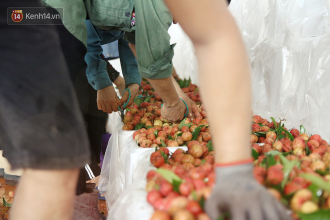 Về Bắc Giang thăm người dân Lục Ngạn trước thông tin 10 ngàn 3kg vải thiều: Làm gì có chuyện chúng tôi ném vải xuống sông - Ảnh 8.