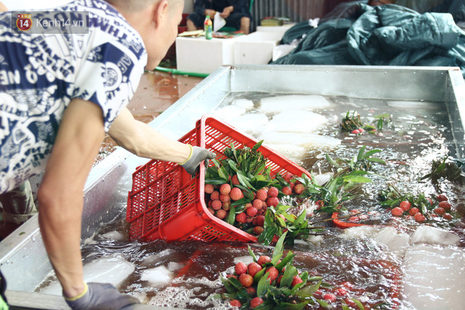 Về Bắc Giang thăm người dân Lục Ngạn trước thông tin 10 ngàn 3kg vải thiều: Làm gì có chuyện chúng tôi ném vải xuống sông - Ảnh 10.