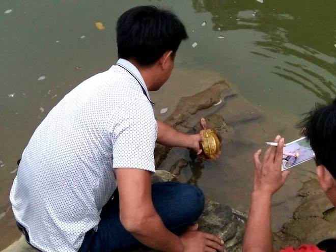 Thấy hai thanh niên mang rùa vàng từ rừng ra, người dân mua rồi thả về tự nhiên - Ảnh 2.
