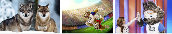 Sói Zabivaka - linh vật World Cup 2018 có gì đặc biệt khiến danh thủ Ronaldo không tiếc lời khen ngợi? - Ảnh 3.