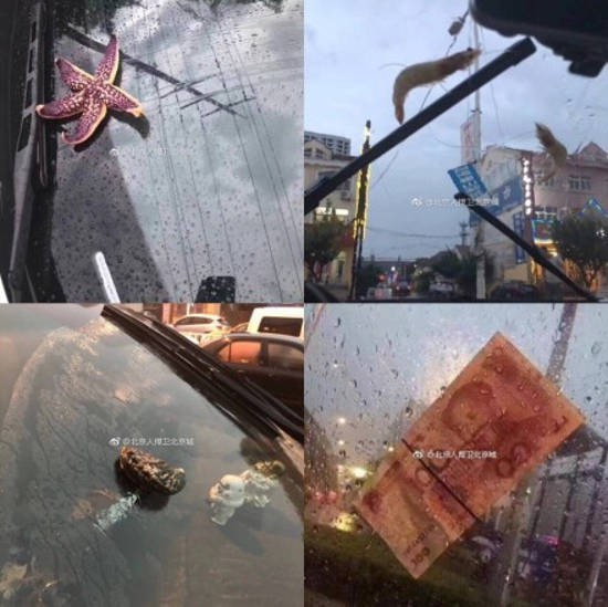 Trung Quốc: Bão lớn khiến hải sản tươi sống trút xuống như mưa trên đường phố - Ảnh 2.