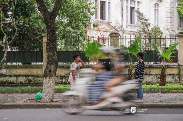 Mùa sấu về trên phố phường Hà Nội: Nhóm thợ đánh giày tranh thủ đổi nghề, kiếm tiền triệu mỗi ngày - Ảnh 7.