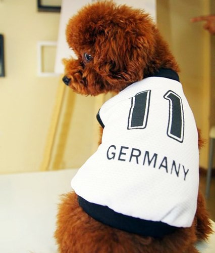 Sốt xình xịch trào lưu mặc trang phục World Cup cho cún cưng - Ảnh 8.