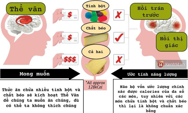 Dù biết ăn vào béo ú nhưng sao ta cứ mê mẩn món khoai tây chiên đến vậy? - Ảnh 2.