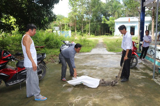 Phát hiện kỳ đà hoa đi lạc vào trụ sở UBND huyện - Ảnh 1.