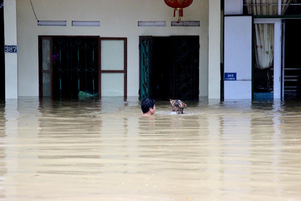 Mưa lũ ở miền núi phía Bắc: 5 người chết, người dân lặn sâu hàng mét để vớt lúa - Ảnh 6.