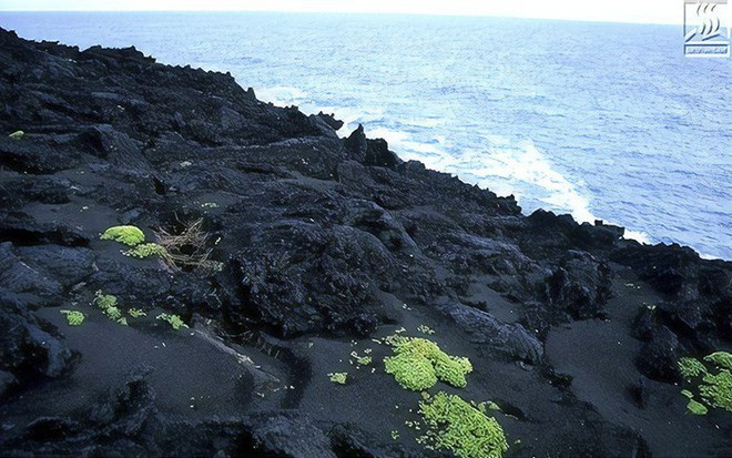 Đảo núi lửa Surtsey: Cấm địa kỳ bí của giới khoa học ngoài khơi Iceland, đến năm 1963 mới được phát hiện - Ảnh 10.