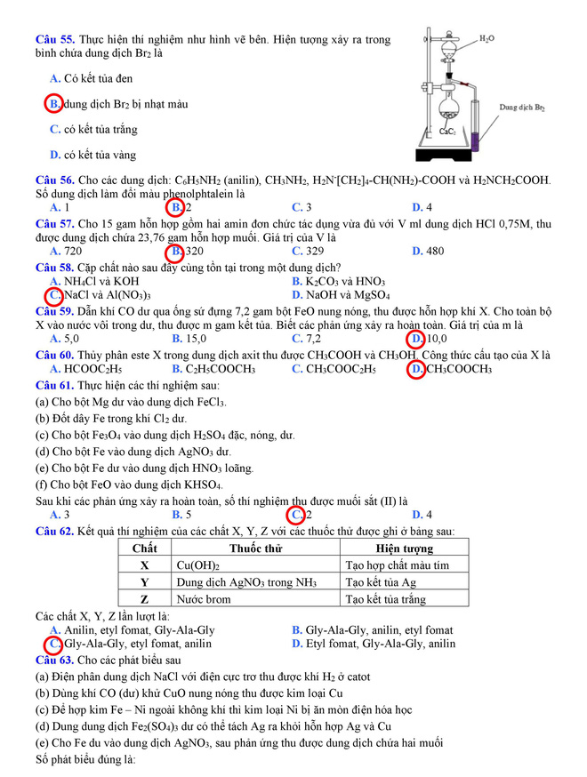 Gợi ý đáp án môn Hóa học THPT quốc gia 2018 - Ảnh 5.