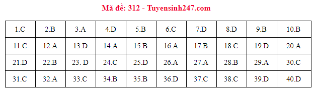 Gợi ý đáp án các mã đề thi môn Lịch sử trong kỳ thi THPT Quốc gia 2018 - Ảnh 11.