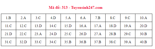 Gợi ý đáp án các mã đề thi môn Lịch sử trong kỳ thi THPT Quốc gia 2018 - Ảnh 12.