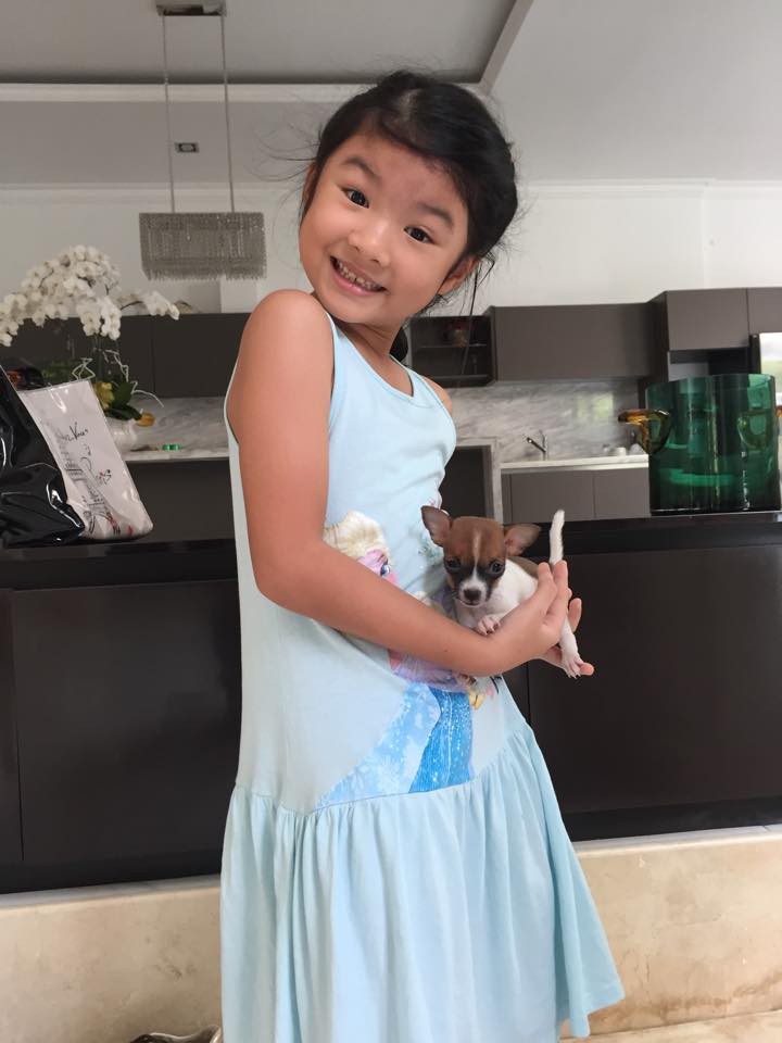 Gallery - Penthouse hơn 200 tỷ của chồng cũ Trương Ngọc Ánh - image 2