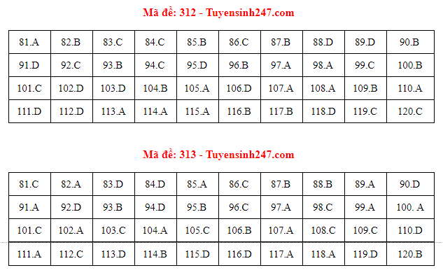 Gợi ý đáp án các mã đề thi môn Giáo dục công dân kỳ thi THPT Quốc gia 2018 - Ảnh 11.