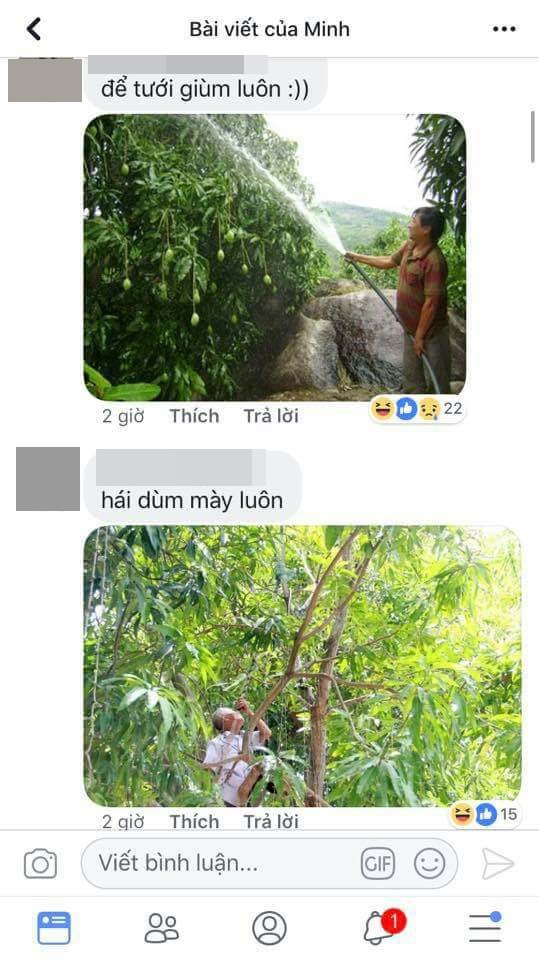 Nghe nói MXH là con dao 2 lưỡi, chàng trai đăng ảnh quả xoài thách thức gọt thử và cái kết cười ra nước mắt - Ảnh 6.