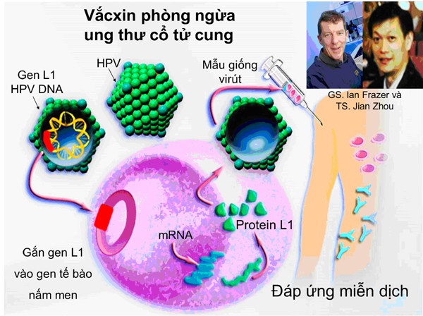 Những kẻ khuấy rối vô hình - Ảnh 3.