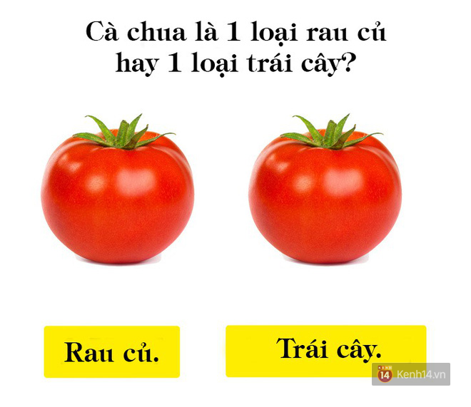 5 điều nghe có vẻ hư cấu nhưng lại hoàn toàn có thật, cái cuối cùng thực sự gây sốc - Ảnh 9.