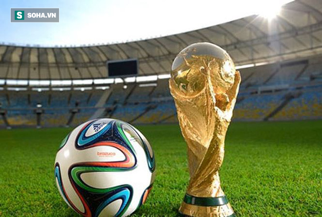 Việt Nam chưa có bản quyền World Cup: Chỉ thương các chú, các bác… - Ảnh 1.