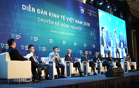 Người b&aacute;n 400 tấn cam/ng&agrave;y ở chợ Long Bi&ecirc;n: Thương l&aacute;i TQ biết VN c&oacute; g&igrave; ngon nhất - Ảnh 1.