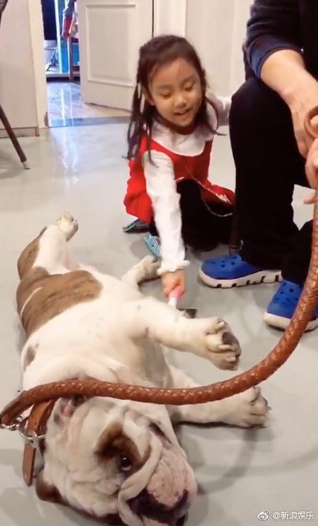 HOT: Anh trai Lý Tiểu Lộ tiết lộ Giả Nãi Lượng đã đoàn tụ với gia đình sau 6 tháng scandal? - Ảnh 2. HOT: Anh trai Lý Tiểu Lộ tiết lộ Giả Nãi Lượng đã đoàn tụ với gia đình sau 6 tháng scandal? - Ảnh 2.