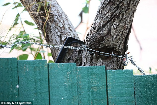 Úc: Dọn dẹp căn nhà bỏ hoang 10 năm, nhân viên vệ sinh phát hiện bí mật kinh hoàng trong tấm thảm - Ảnh 5. Úc: Dọn dẹp căn nhà bỏ hoang 10 năm, nhân viên vệ sinh phát hiện bí mật kinh hoàng trong tấm thảm - Ảnh 5.