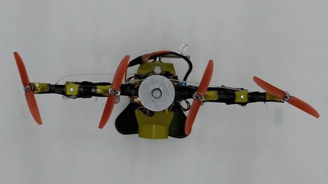 Nghiên cứu thành công robot có thể gập cánh khi bay qua không gian hẹp lấy ý tưởng từ đôi cánh của loài chim - Ảnh 1.