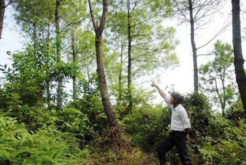 Vụ khai quật tử thi nữ kế toán: Luật sư nói chiếc bật lửa gần thi thể chưa được làm rõ - Ảnh 3.