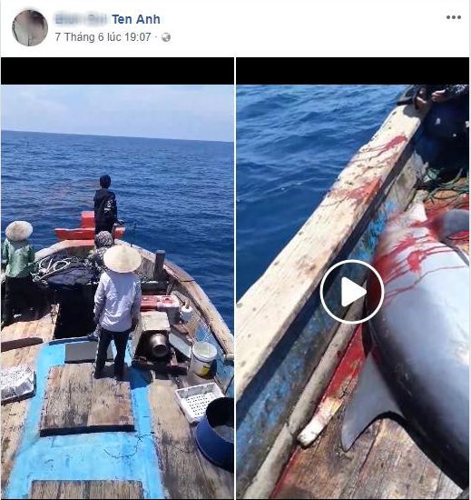 Nhóm ngư dân bị chỉ trích dữ dội vì săn bắt cá heo rồi đăng lên Facebook khoe - Ảnh 1.