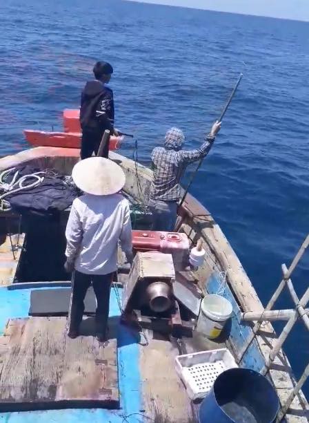 Nhóm ngư dân bị chỉ trích dữ dội vì săn bắt cá heo rồi đăng lên Facebook khoe - Ảnh 2.
