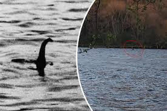 Kế hoạch của Scotland để xử lý quái vật hồ Loch Ness... nếu tìm thấy! - Ảnh 1.