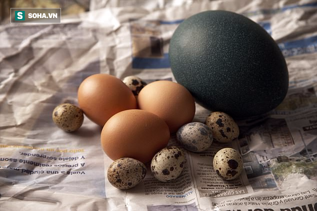 Những lợi ích diệu kỳ nhờ việc chăm chỉ ăn một quả trứng mỗi ngày - Ảnh 1.