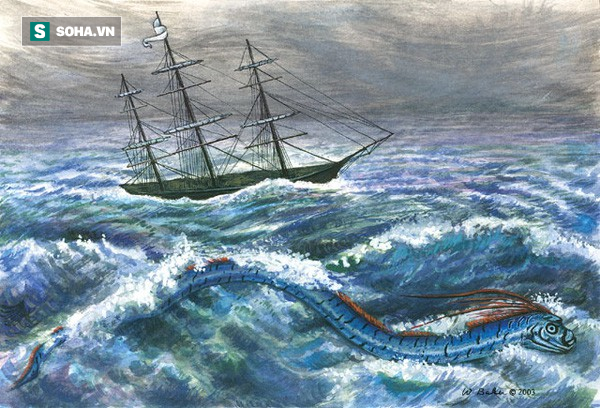 Ngư dân Chile hí hửng mừng hụt khi bắt được sinh vật có ngoại hình hệt như thủy quái - Ảnh 5.