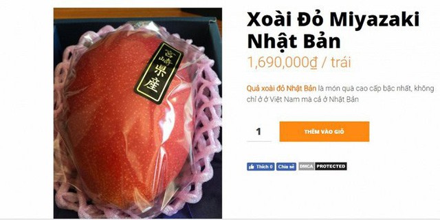 Xoài đỏ Nhật Bản đắt đỏ nhất thế giới, giá 2,5 triệu/quả vẫn cháy hàng ở Việt Nam  - Ảnh 3.