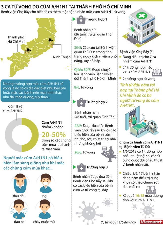 Cúm A/H1N1 là một trong ba chủng cúm mùa lưu hành chủ yếu tại Việt Nam - Ảnh 2.