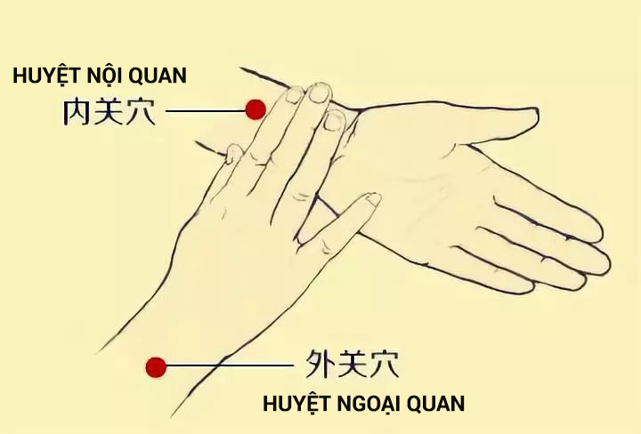 3 huyệt vị giúp phòng chữa bệnh gan nhiễm mỡ: Cách bấm đơn giản, hiệu quả lâu dài - Ảnh 1. 3 huyệt vị giúp phòng chữa bệnh gan nhiễm mỡ: Cách bấm đơn giản, hiệu quả lâu dài - Ảnh 1.