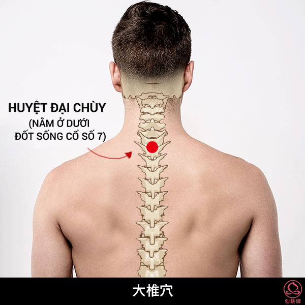 3 huyệt vị giúp phòng chữa bệnh gan nhiễm mỡ: Cách bấm đơn giản, hiệu quả lâu dài - Ảnh 6.