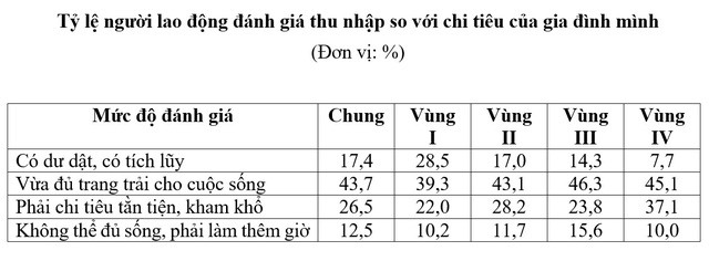 ¼ số người lao động bức xúc vì lương thấp, không có thêm các khoản phụ cấp - Ảnh 2.