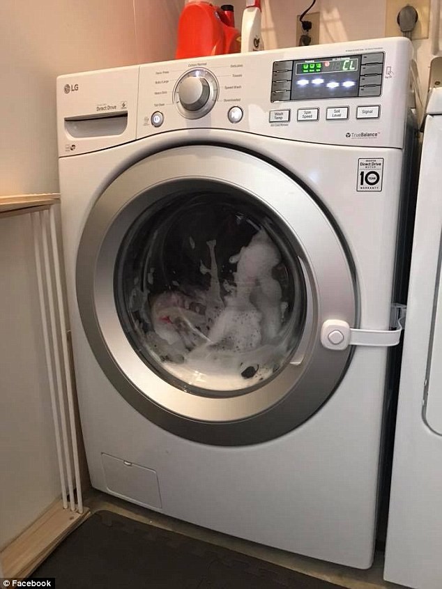 Con trai báo tin dữ, bố mẹ lập tức đi kiểm tra và kinh hoàng phát hiện con gái la hét không ngừng trong máy giặt đang hoạt động - Ảnh 2.