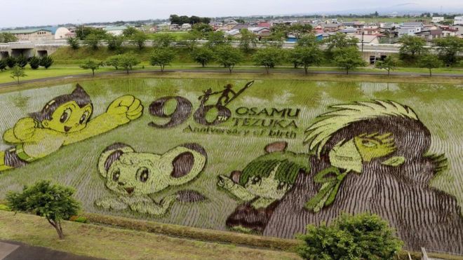 Nông dân Nhật biến ruộng lúa thành các hình vẽ truyện tranh để tưởng nhớ họa sĩ huyền thoại Osamu Tezuka - Ảnh 1.