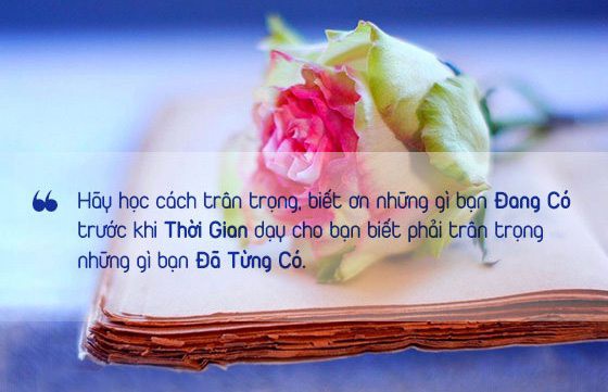 Đĩa thức ăn bị chê không hợp khẩu vị và cuộc hội thoại trong bếp ai cũng nên nghe! - Ảnh 4.