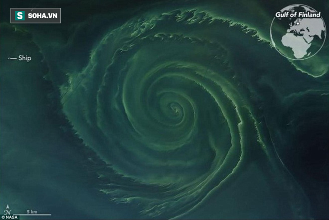 Vòng xoáy khổng lồ ở Baltic: Rộng 24 km, được mệnh danh là vùng tử thần trên biển - Ảnh 1.