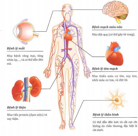 Tim mạch - Nội tiết - Máu - Những bệnh lý liên quan đến mắt không thể chủ quan - Ảnh 1.